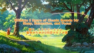 Ultimate 2 Hours of Cicada Sounds for Sleep Relaxation and Focus [upl. by Anitnatsnok422]