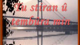 Ciwan Haco welatê min lyrics [upl. by Aisa]