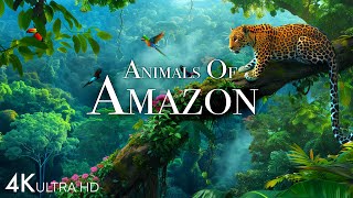 Animals of Amazon 4K  Animals That Call The Jungle Home  Amazon Rainforest Scenic Relaxation Film [upl. by Stutsman]