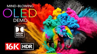 Best of 16K HDR 120FPS Dolby Vision  16K Video [upl. by Samul]