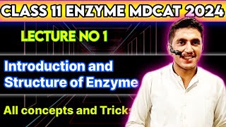 Enzyme  Lecture no 1  Introduction and Structure of Enzyme  All concepts  MDCAT2024 [upl. by Anaitsirc]