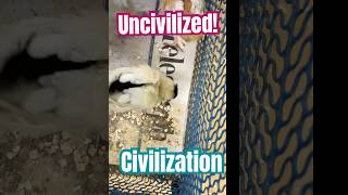 Uncivilized Civilizations  MrTodayAnalysis  MrTodayAnimals [upl. by Bridgid]