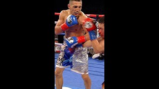 Teofimo Lopez in Slow Motion Shorts [upl. by Grochow]