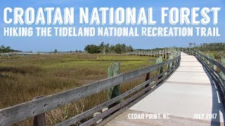 Tideland National Recreation Trail  Croatan National Forest  Wandering Around In Wonder [upl. by Bathsheba612]