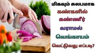 கண்ணீர் வராமல் வெங்காயம் வெட்டுவது எப்படி  How to chop cut onion without tears crying in tamil [upl. by Orford524]