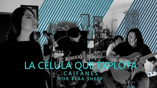 Blaa Sheep Band Cover  La Célula Que Explota Caifanes [upl. by Cawley]