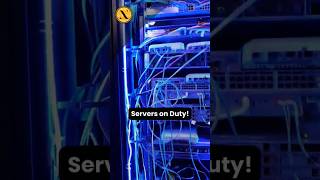 Whos working 247 to keep things running server networking networkengineer [upl. by Carina]