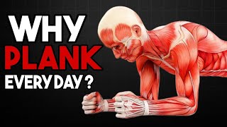 What Will Happen If You Plank Everyday For 1 Minute [upl. by Marris215]