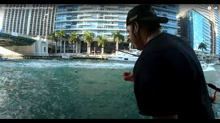 Fishing Miami Beach South Point Pier [upl. by Eanehs]