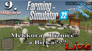 Farming Simulator 22  9 rész A Birka a legnagyobb quotBizniccquot [upl. by Annaeel832]