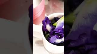 Blue flowers tea flowers organic healthylifestyle singlemomlifestyle [upl. by Norval]