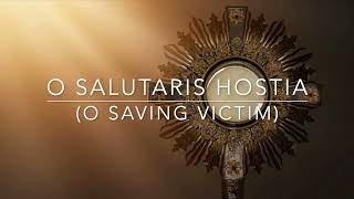 O SALUTARIS HOSTIA O SAVING VICTIM Instrumental [upl. by Iccir40]