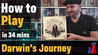 How to play Darwins Journey boardgame  Full teach  Visuals  Peaky Boardgamer [upl. by Hnahym146]