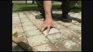 paver stone repair with Envirobond sand [upl. by Beitris]