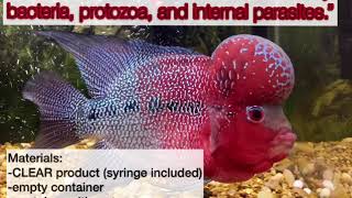 “Clear” by cz Aqua How to use for deworming flowerhorn or crossbreed fish [upl. by Ecaroh521]