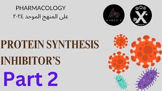 Antimicrobial drug protein synthesis inhibitors part  2 [upl. by Ynitsed]