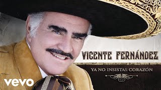 Vicente Fernández  Ya No Insistas Corazón Cover Audio [upl. by Beuthel]