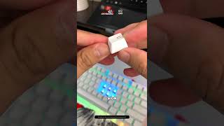 Unboxing WOMIER K87 Mechanical Keyboard  TKL 87 Keys RGB Wired Hotswap Review [upl. by Ennazus]