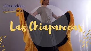 LAS CHIAPANECAS PASOS BASICOS  FOLKLORE MEXICANO [upl. by Rihsab]