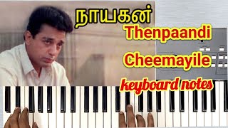 Thenpaandi Cheemayile Song Piano notes  ❤️🦋 [upl. by Blank]