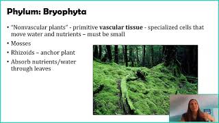 Seedless Nonvascular Plants [upl. by Raviv190]