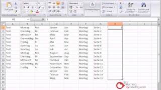 Excel Grundkurs autoausfuellen [upl. by Gleason]
