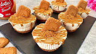 Lotus Biscoff mini cheesecakes Easy and yummy no bake dessert [upl. by Yezdnil520]