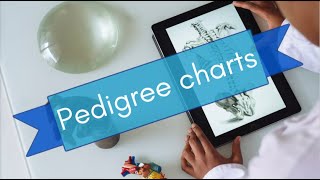 Pedigree Chart Analysis and genetic inheritance patterns [upl. by Asilem]