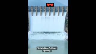 Tarbela dam world 2nd largest dam spillway opening view❤️ youtubeshorts tarbeladam [upl. by Beckie128]