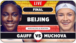 GAUFF vs MUCHOVA • WTA Beijing 2024 Final • LIVE Tennis Watchalong Stream [upl. by Imeaj]