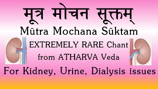 Mootra Mochana Suktam  RARE CHANT  Atharva Veda  Treating Kidney amp Urinary Issues  Sri K Suresh [upl. by Elumas637]