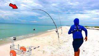 Fishing a Florida Beach and Hooked THIS Biggest of the Year [upl. by Ecinahs]