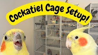 Cockatiel Cage Setup  Bird Cage Tips amp Ideas  TheParrotTeacher AD [upl. by Rj701]