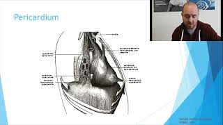 Osteopathic Considerations Thoracic Extension [upl. by Amata]