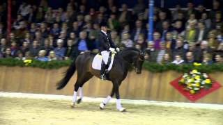 Hengstkollektion 2014  Tomahawk [upl. by Eiramannod986]