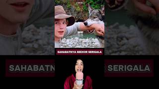 Sahabat Sejatinya Yaitu Seekor Serigala [upl. by Aneerb]