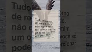 Reciprocidadeyoutube boasfrases reciprocidade shortsviral bomdiamotivacional shortvideos fe [upl. by Teragramyram]