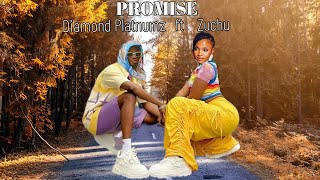 Diamond platnumz Ft Zuchu  PROMISE  official Music Video2024 [upl. by Drawets]