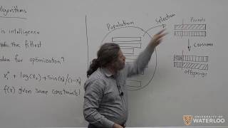 Machine Intelligence  Lecture 18 Evolutionary Algorithms [upl. by Rodina]