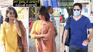 Samantha SHOCKING Reaction After Seeing Naga Chaitanya At Airport  Samantha Latest  Filmy Hunk [upl. by Neelak64]