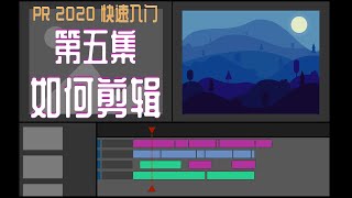 PR 2020快速入门！第五集：如何剪辑 [upl. by Ahtennek]