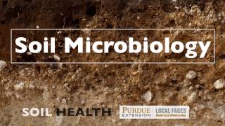 Soil Basics Soil Microbiology [upl. by Oznarol212]