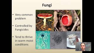 Diagnosing Plant Problems [upl. by Ttirb]