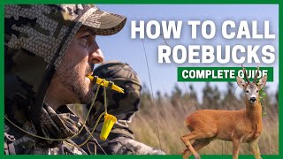 How to call ROE DEER during the RUT Tactics and tips to be successful [upl. by Esyned]