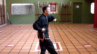 Tai Chi Espada  Grão Mestre Chiu Ping Lok  Fei Hok Phai [upl. by Lebbie]