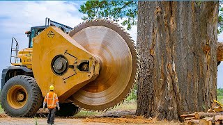 Extreme Dangerous Fastest Big Chainsaw Cutting Tree Machines  Monster Stump Removal Excavator 30 [upl. by Arrekahs]