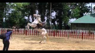 Salu K George Gallop Cochin  First Horse Riding Academy in Cochin  Martin Varghese Ireland [upl. by Peirce]