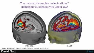 David Nutt – Psychedelics opening the mind healing the brain [upl. by Ajdan]