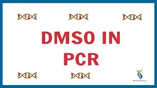 Function Of DMSO IN PCR Reaction  Role Of DMSO in PCR Reaction  DMSO In PCR Reaction [upl. by Farr]