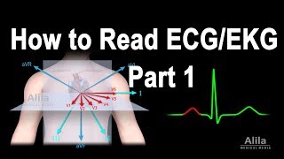 How to Read ECGEKG Part 1 Animation [upl. by Abehshtab400]